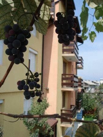 Hotel Mavrikova Kushta
