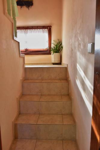 Hostal Guest House Maggy