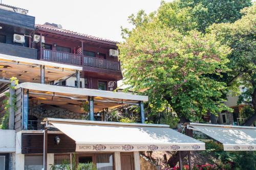 Hostal House Diona