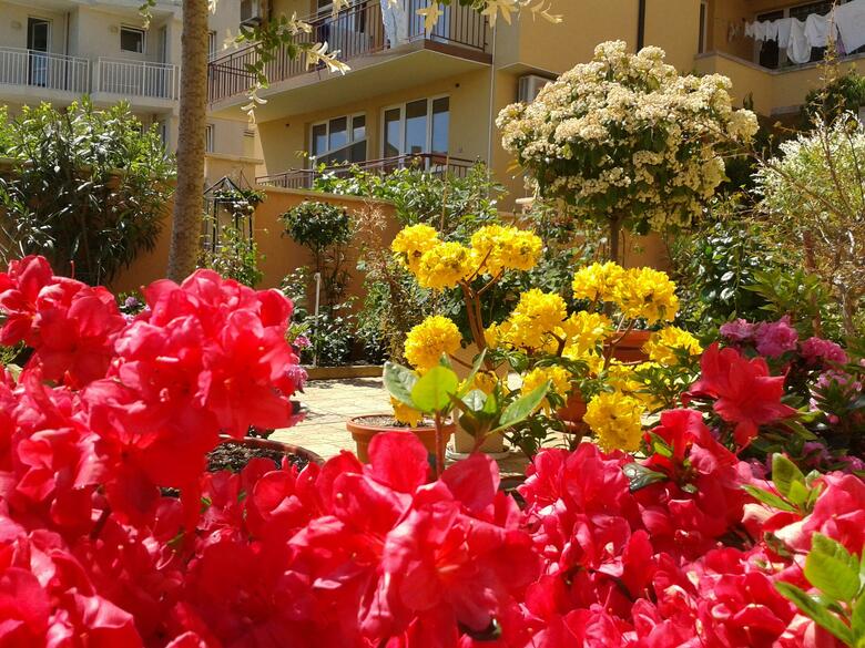 Hotel Chuchulev