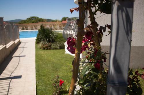 Aparthotel Gardenia Vacation Settlement
