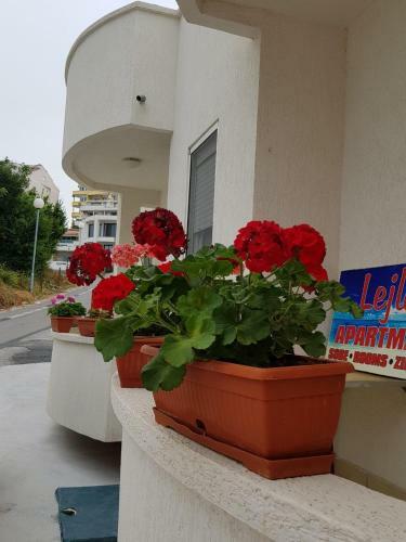 Apartamentos Guest House Lejla