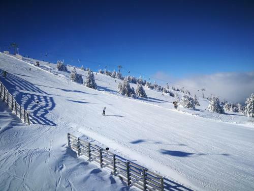 Apartment K9 Milmari Resort