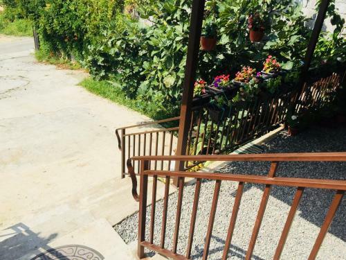 Hostal Guest House Ellina