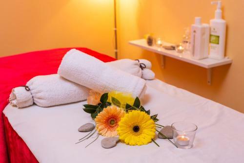 Hotel&wellness Kni?ec� Rybn�k