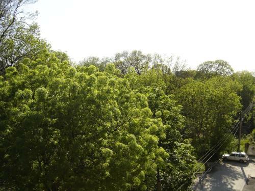 Hostal Central Park Family Hotel