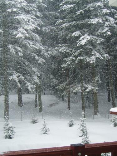 Apartments Borovets