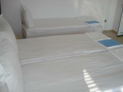 Hostal The Sunny Home Guesthouse