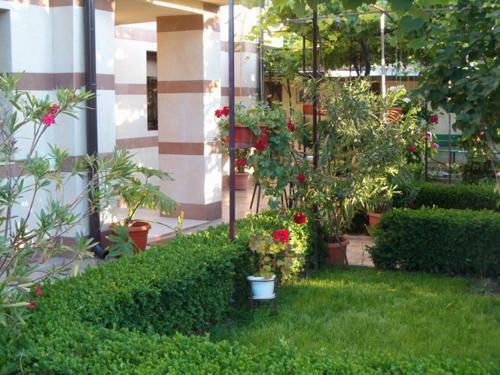 Hostal Family Hotel Bellehouse