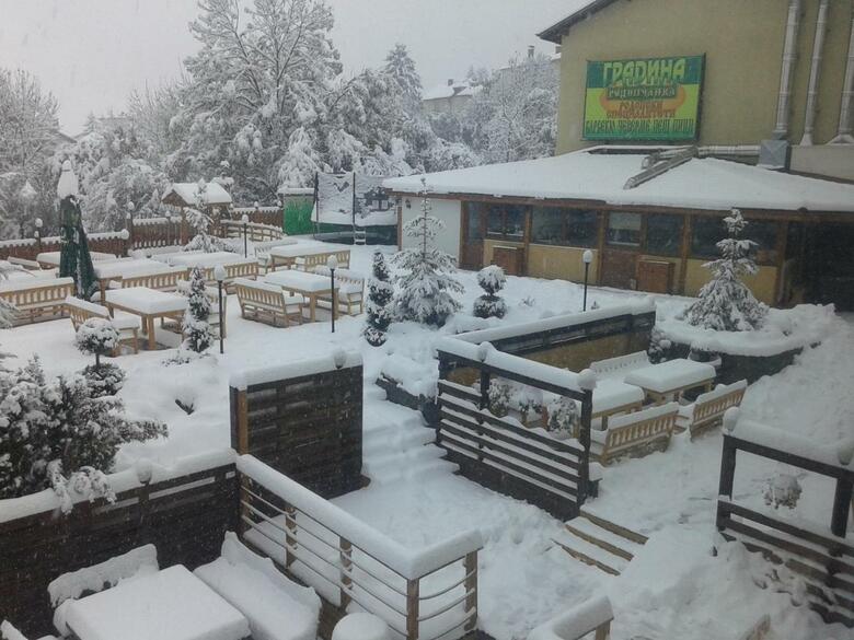 Vitosha Tulip Hotel