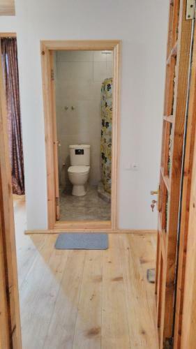 Hostal Guest House In Nikortsminda Racha