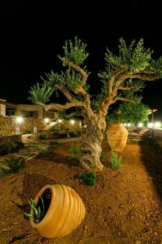 Hostal Yiannis Retreat