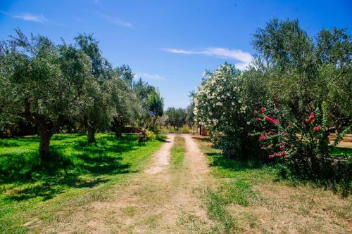Apartamento Traditional House In A Natural Oasis