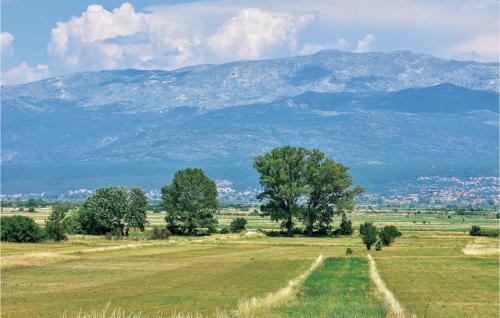Seven-bedroom Holiday Home In Cacvina