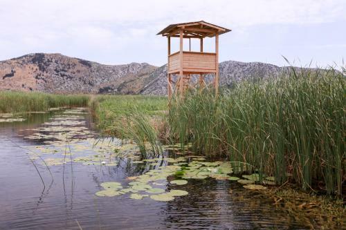 Robinson Neretva