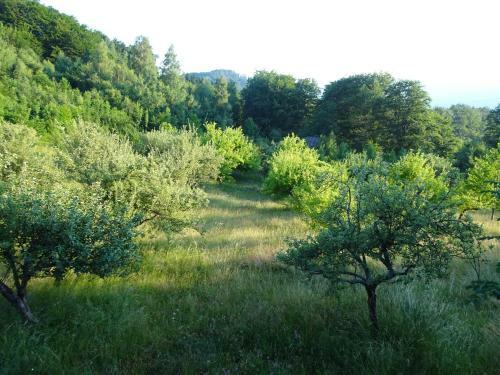 Holiday Home Crkvina