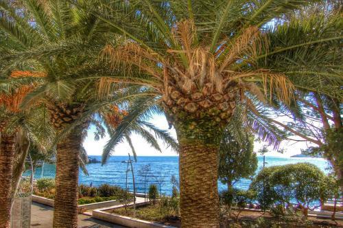 Vasiliki Seaside Apartments