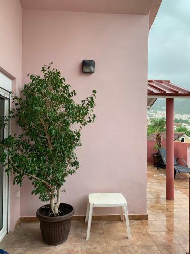 Apartment Kuljic