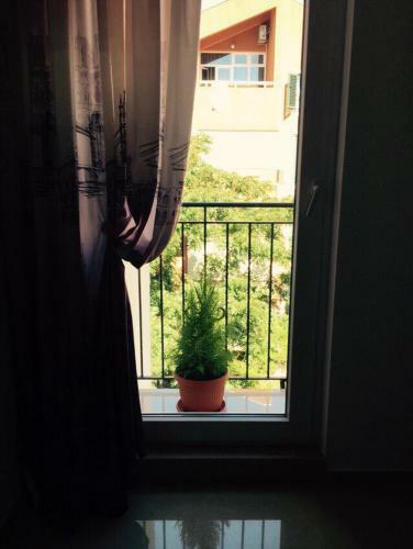 Apartment Ivan