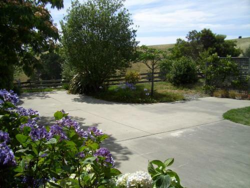 Bed & Breakfast Omaka Heights Countrystay