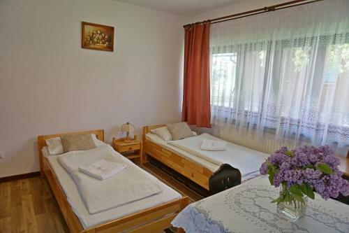 Hostal O?rodek Wczasowy Gro? Plac�wka