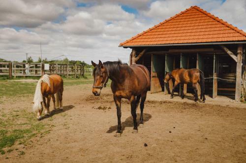 Hostal Agritourism Farm Podkowa