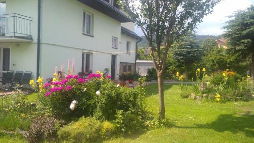 Hostal Dom Go?cinny Kama