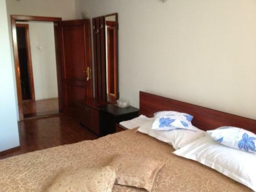 Hotel Pensiunea Dariana
