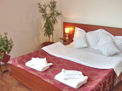 Hotel Pensiunea Dariana