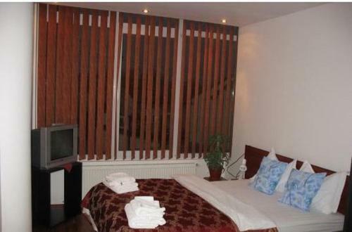 Hotel Pensiunea Dariana