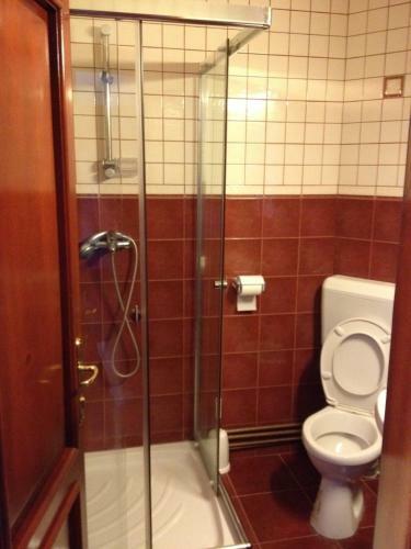 Hotel Pensiunea Dariana