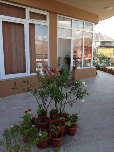 Hotel Pensiunea Dariana