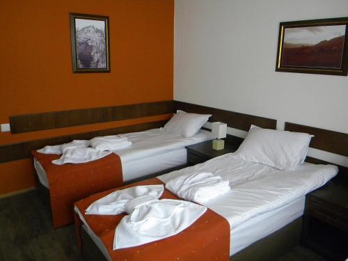 Hostal Pensiunea Smida Park