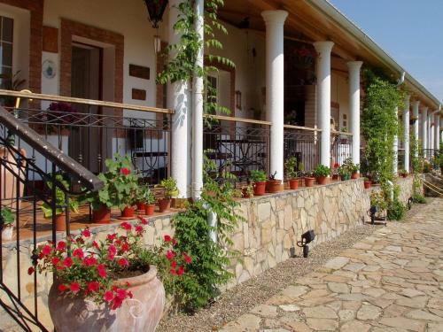 Posada Country Club La Mesteceni