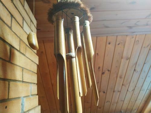 Belka Hostel
