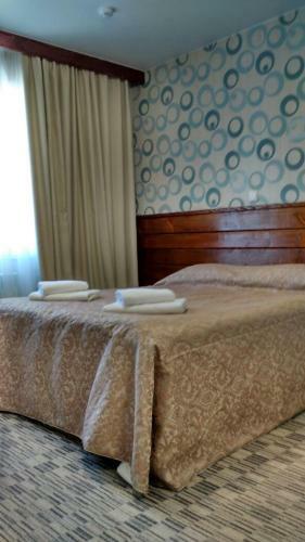 Hotel Laplandiya