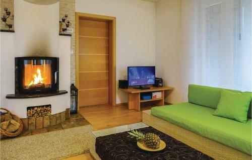 Three-bedroom Holiday Home In Preserje
