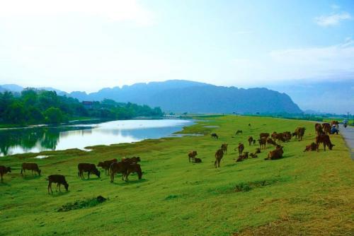 Thanh Nam Homestay