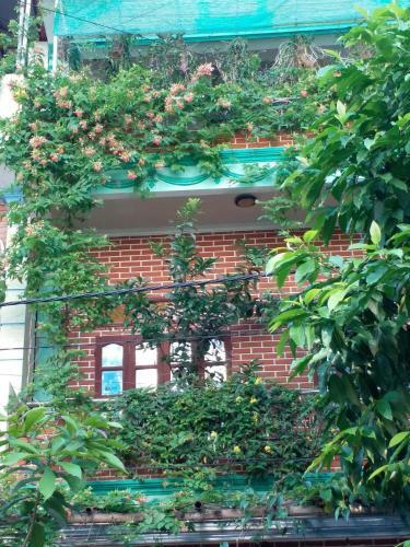 Thanh Nam Homestay