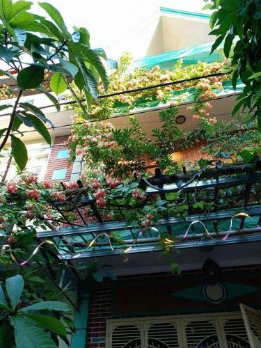 Thanh Nam Homestay