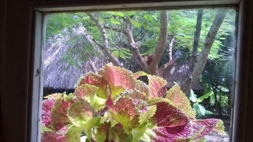 Giao Diem Homestay