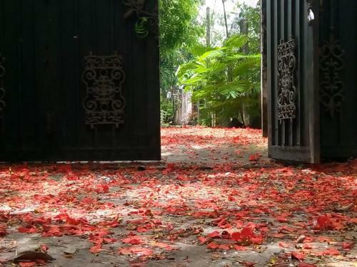 Giao Diem Homestay