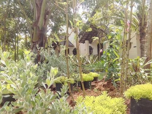 Giao Diem Homestay
