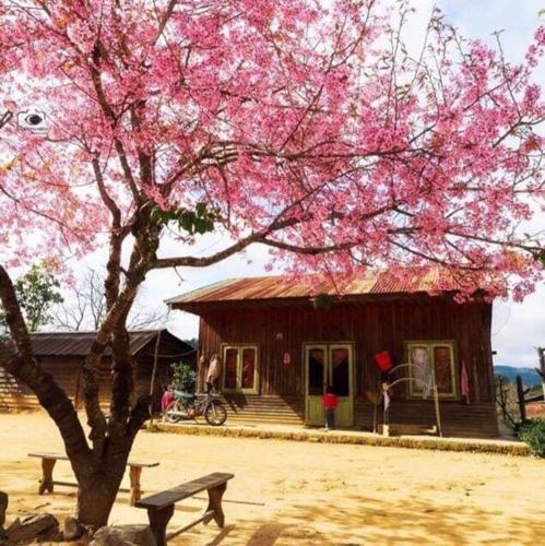 Homestay Da Blah
