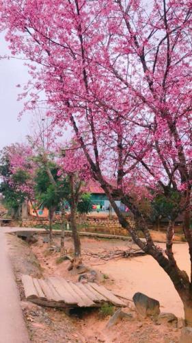 Homestay Da Blah