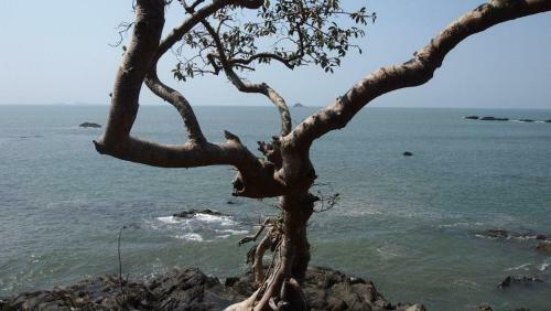 Hotel Kamaxi Beach Resort