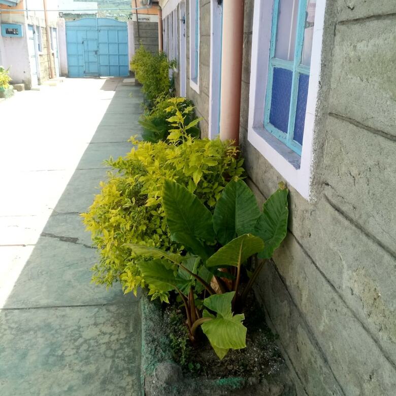 Hotel My Choice Guest House - Adults Only