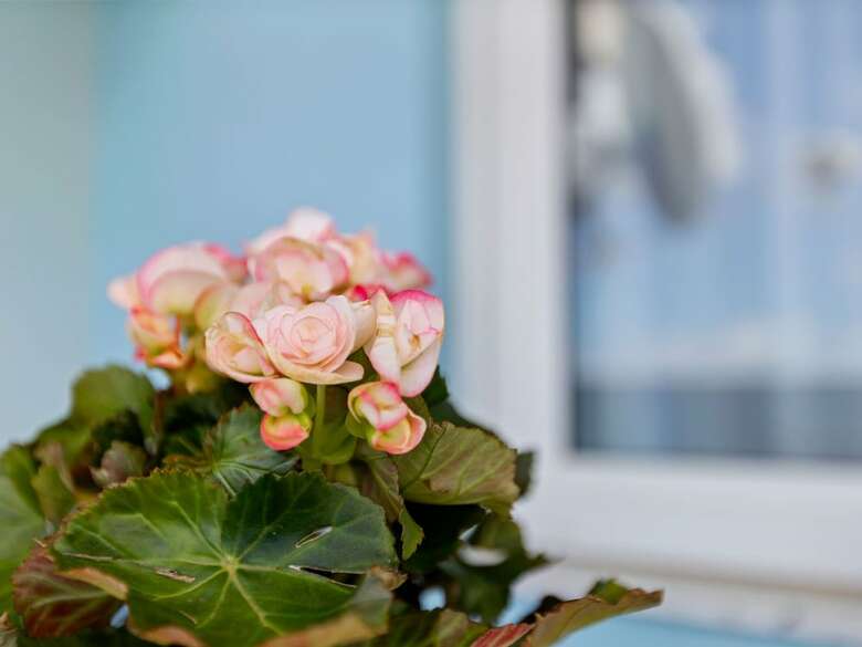 Comfortable Apartment In Jadranovo Near Seabeach