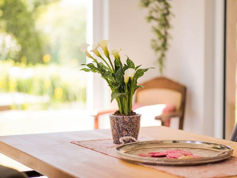 Charming Apartment In Weinsheim With Garden