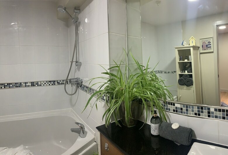 King Canute Apartment - Crown Lettings